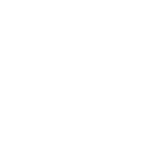 Experience icon